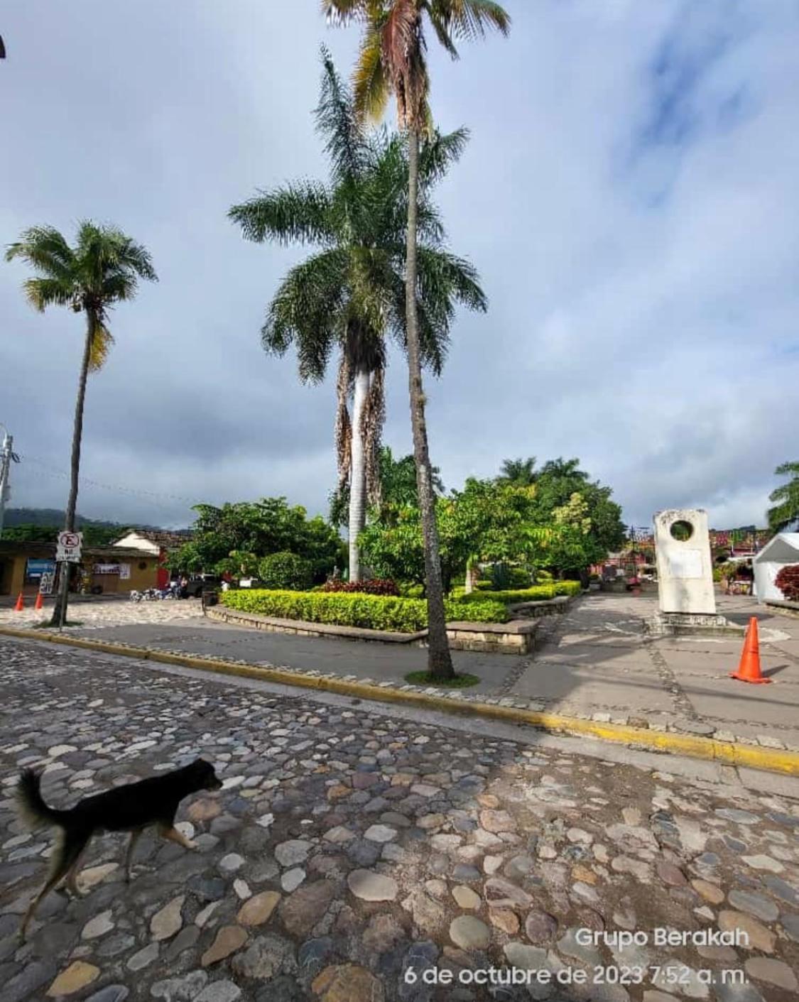 Stella Hostel Copán Buitenkant foto